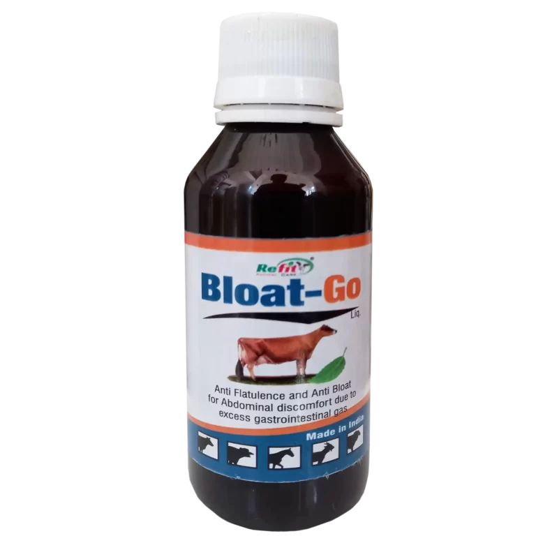 cattle bloat medicine