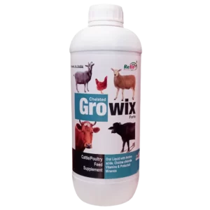 HEIF GROW - Calf Growth Powder For Calves & Heifer in India