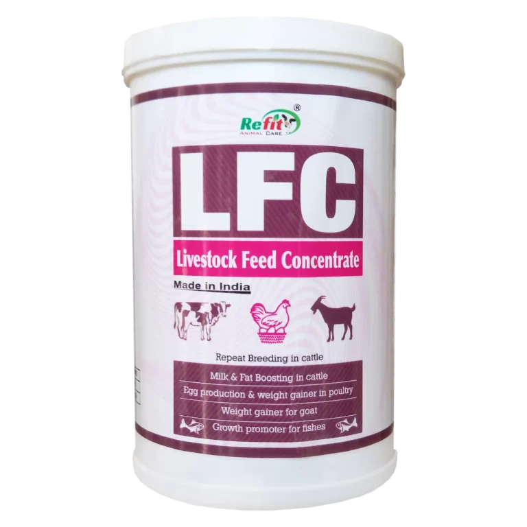 livestock feed concentrate for cattle poultry goat sheep and fishes