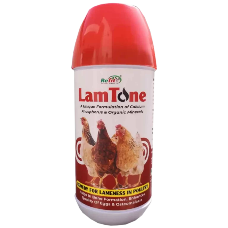 poultry lameness medicine