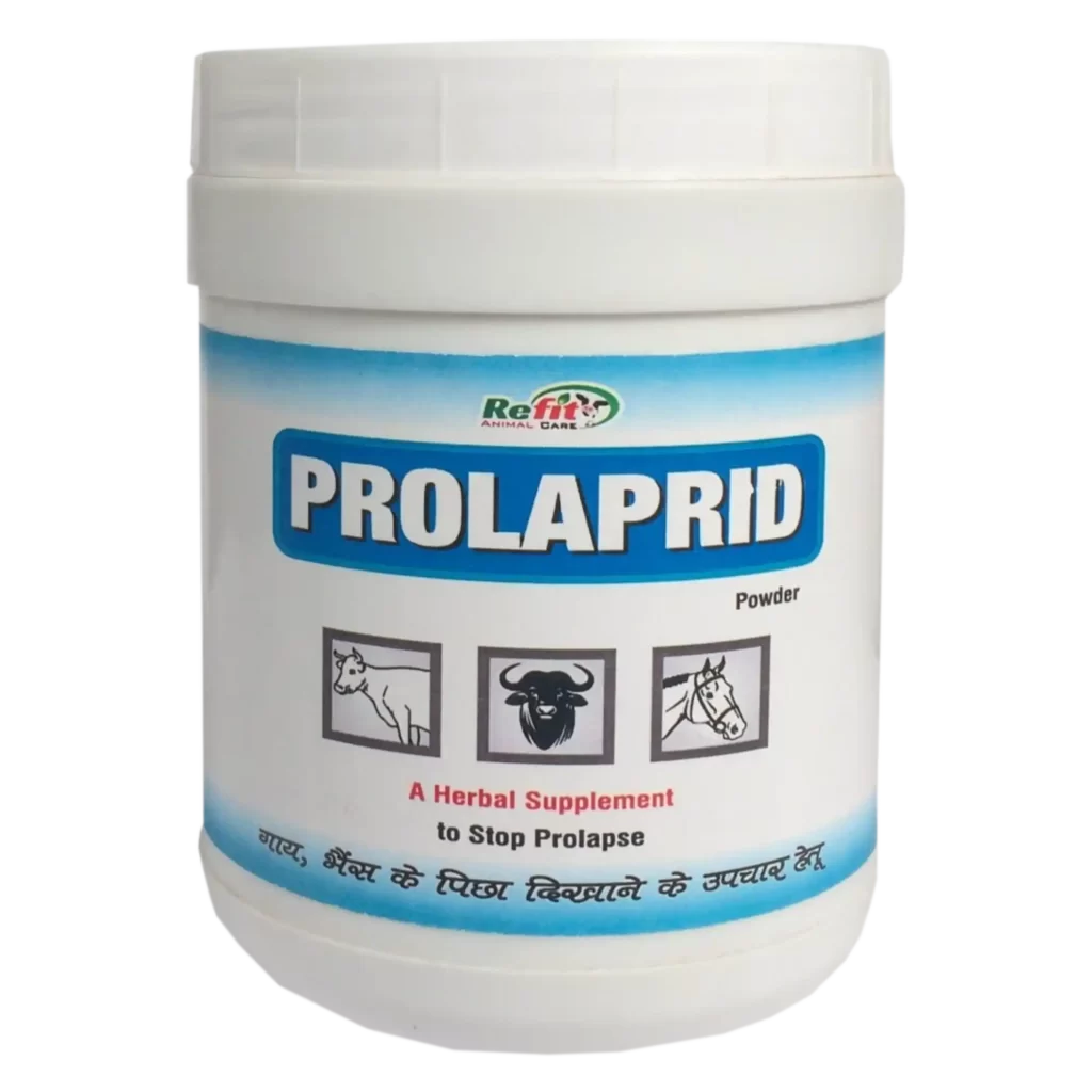 prolapse cure powder