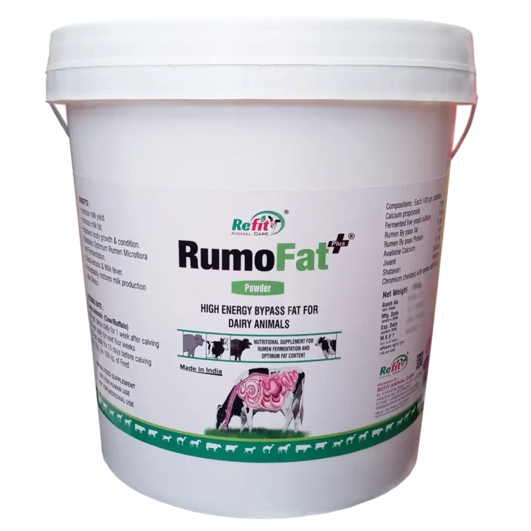 rumen bypass fat for cow