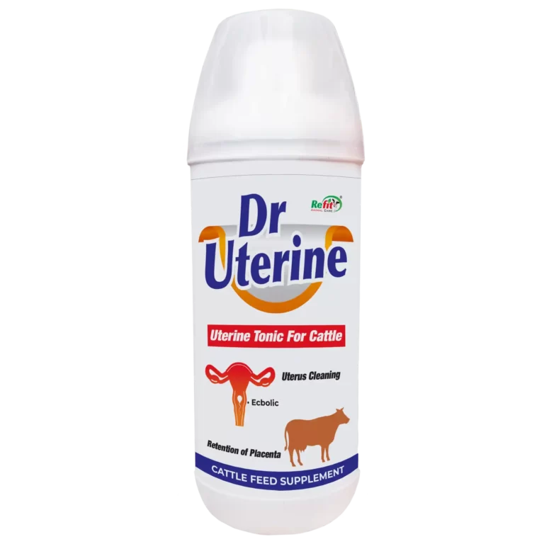 uterine tonic for cattle