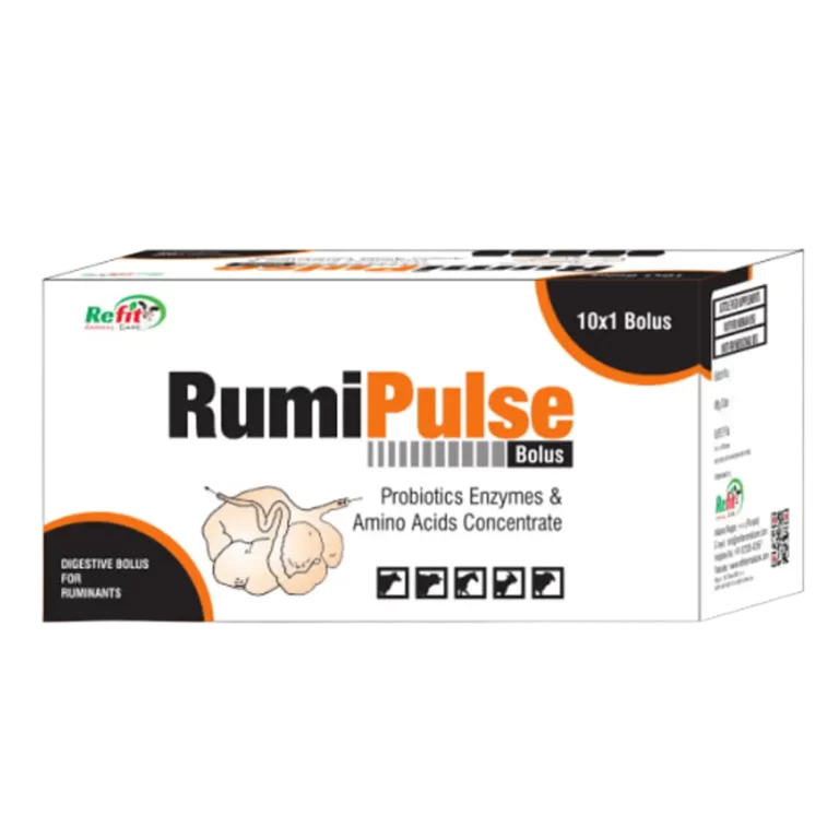 veterinary rumen bolus for cattle cows and buffalo