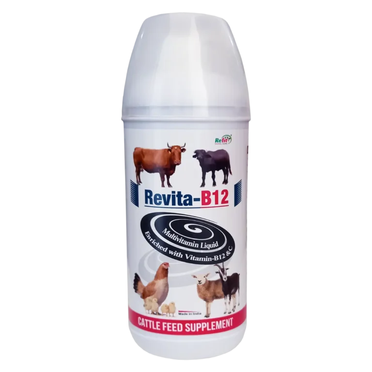 vitamin b12 for animals