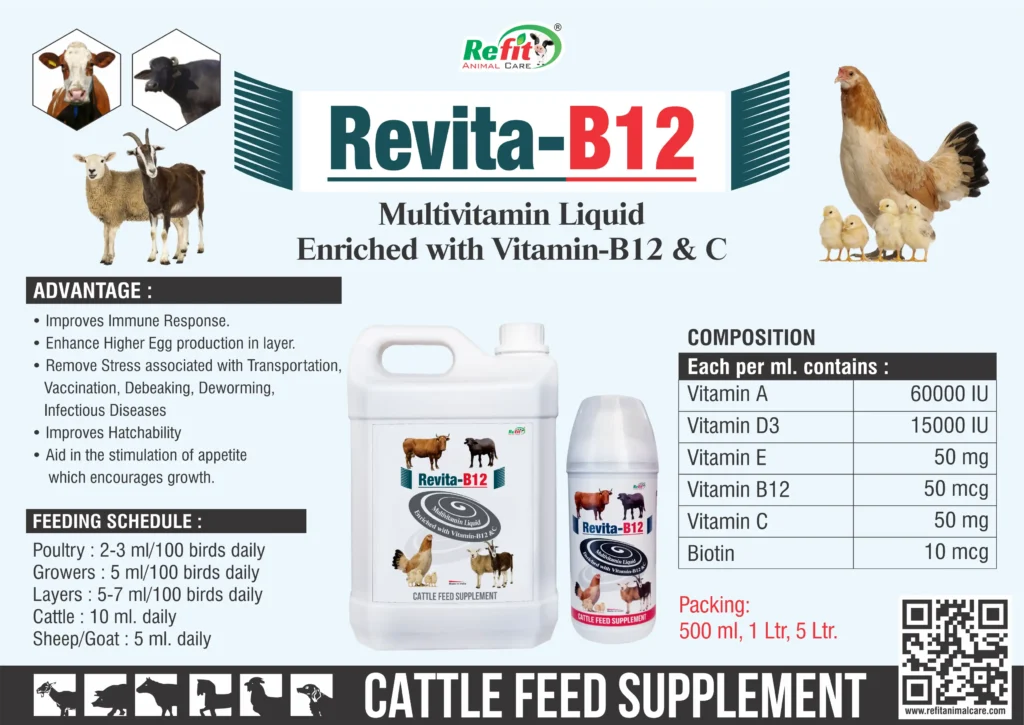 vitamin b12 supplement for cattle