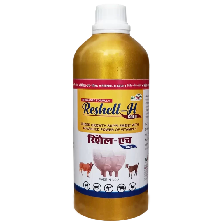 Vitamin H For Cow Udder: Tăng Cường Sức Khỏe Bầu Vú Bò Và Chất Lượng Sữa