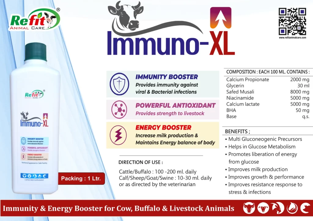 immune booster for cow