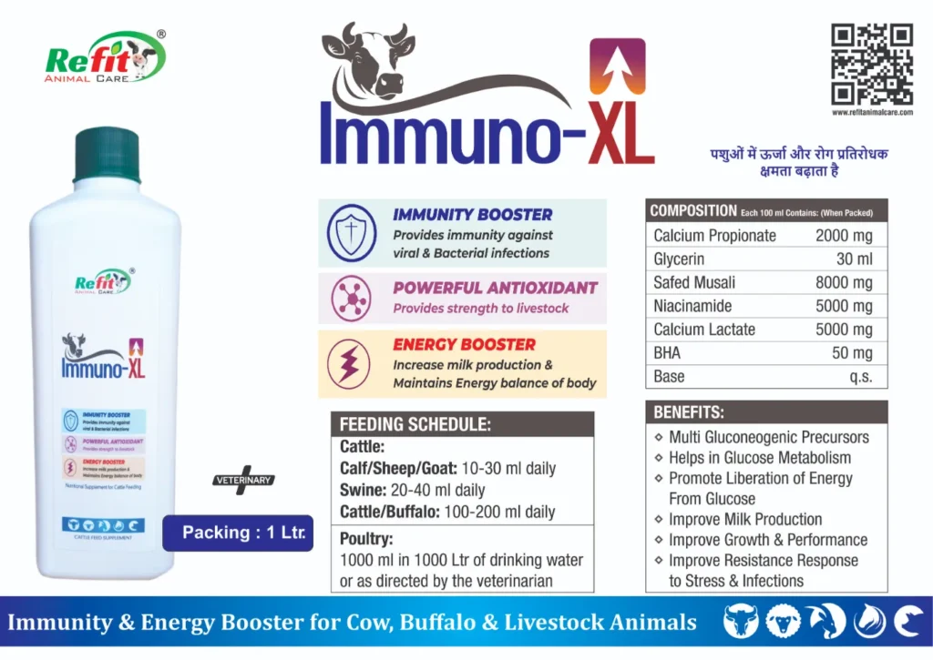 immune booster for cow