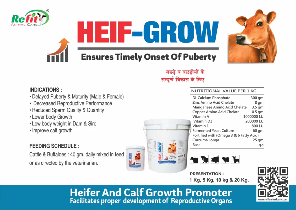 calf growth powder
