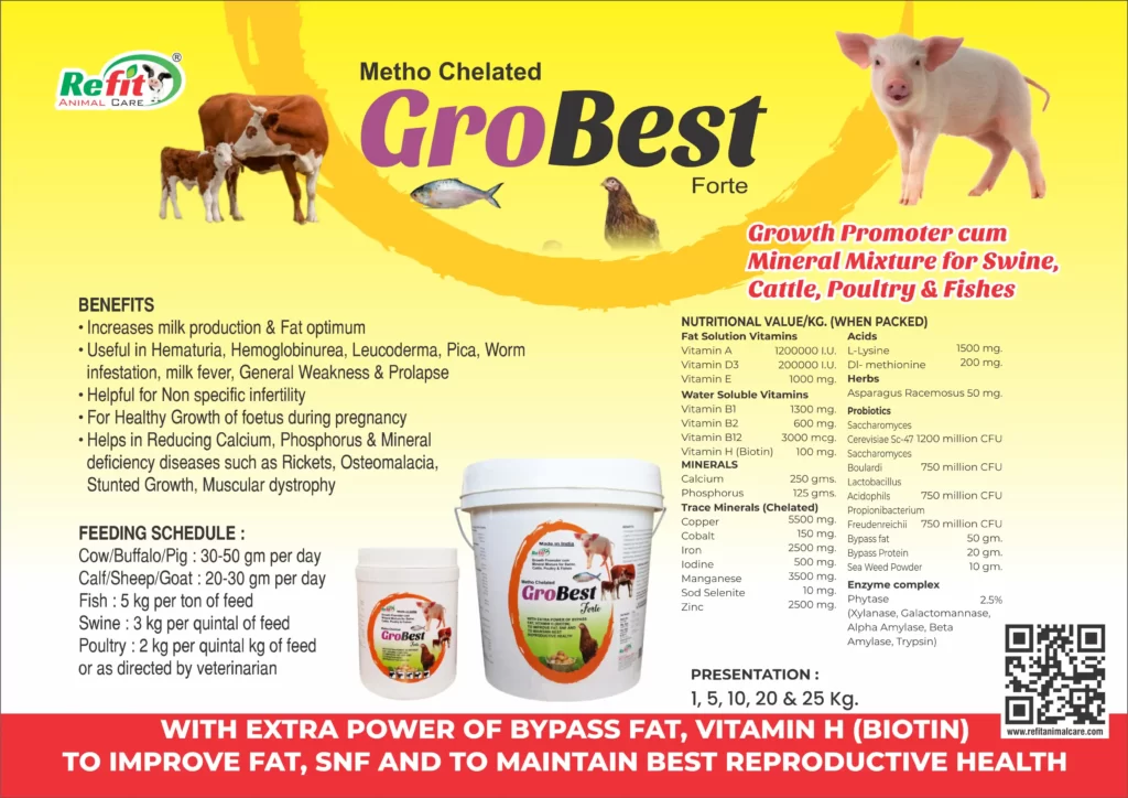 mineral mixture for cow