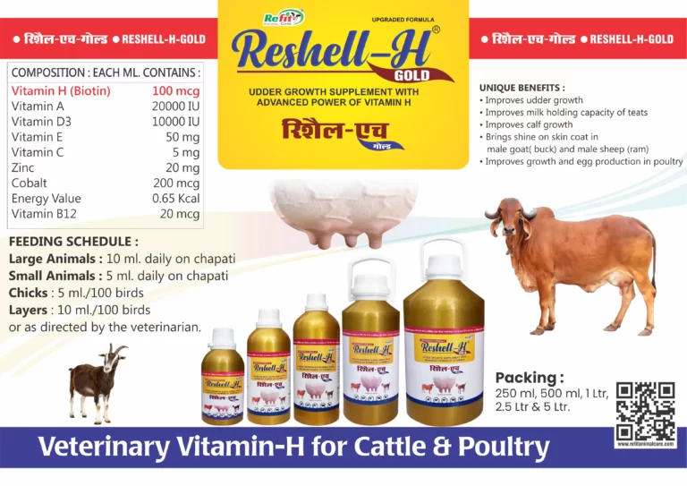 vitamin h for cow