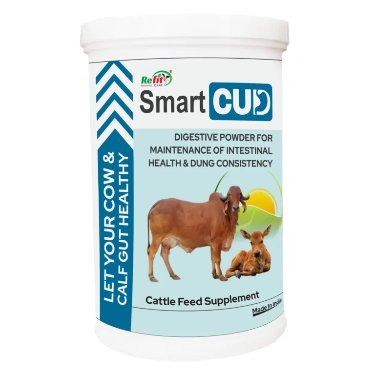 digestion powder for cattle refit animal care
