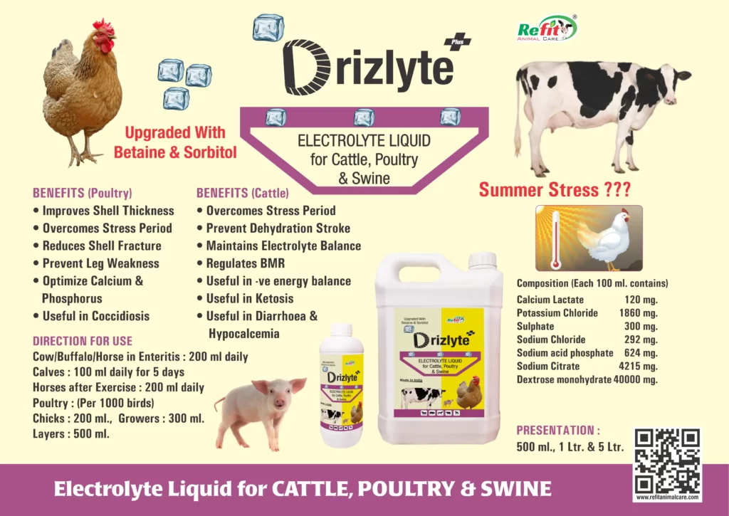 electrolyte liquid for cattle and poultry refit animal care
