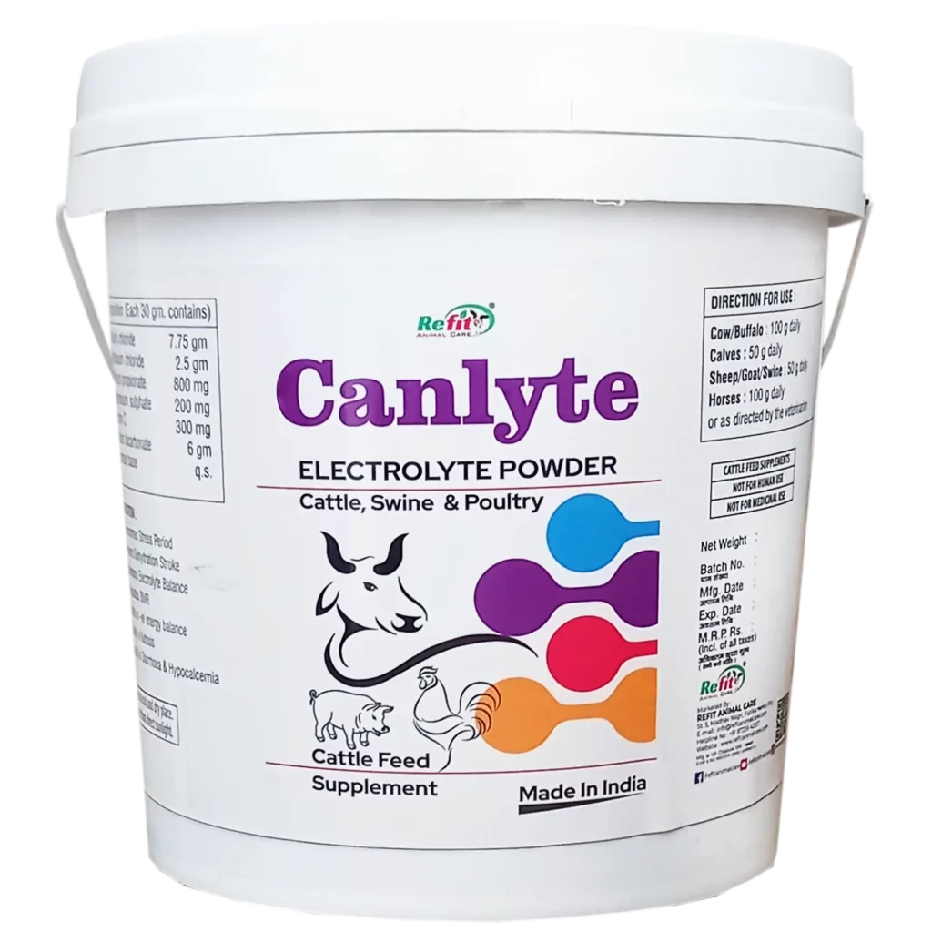 electrolyte powder for animals refit animal care