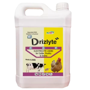 liquid electrolyte for cattle refit animal care