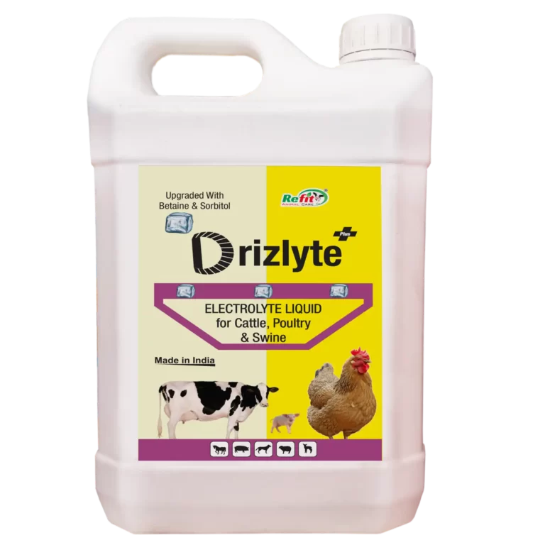 liquid electrolyte for cattle refit animal care