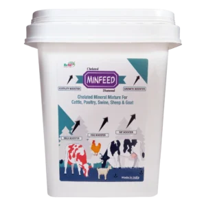 mineral mixture supplement for cattle
