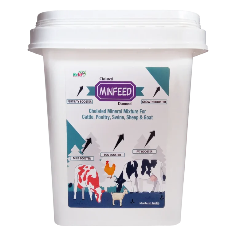 mineral mixture supplement for cattle