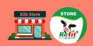 refit-b2b-store