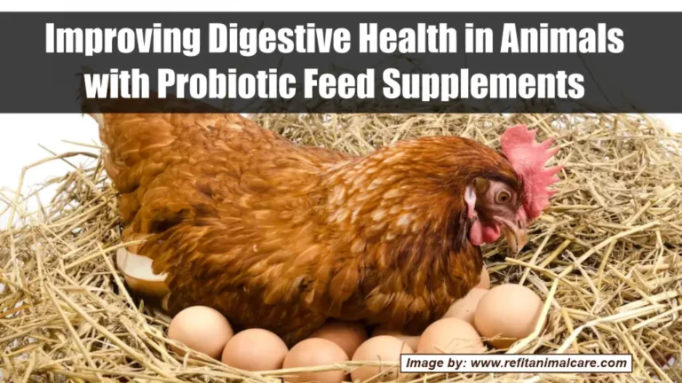 probiotics for poultry