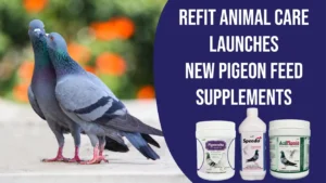 pigeon products new launch