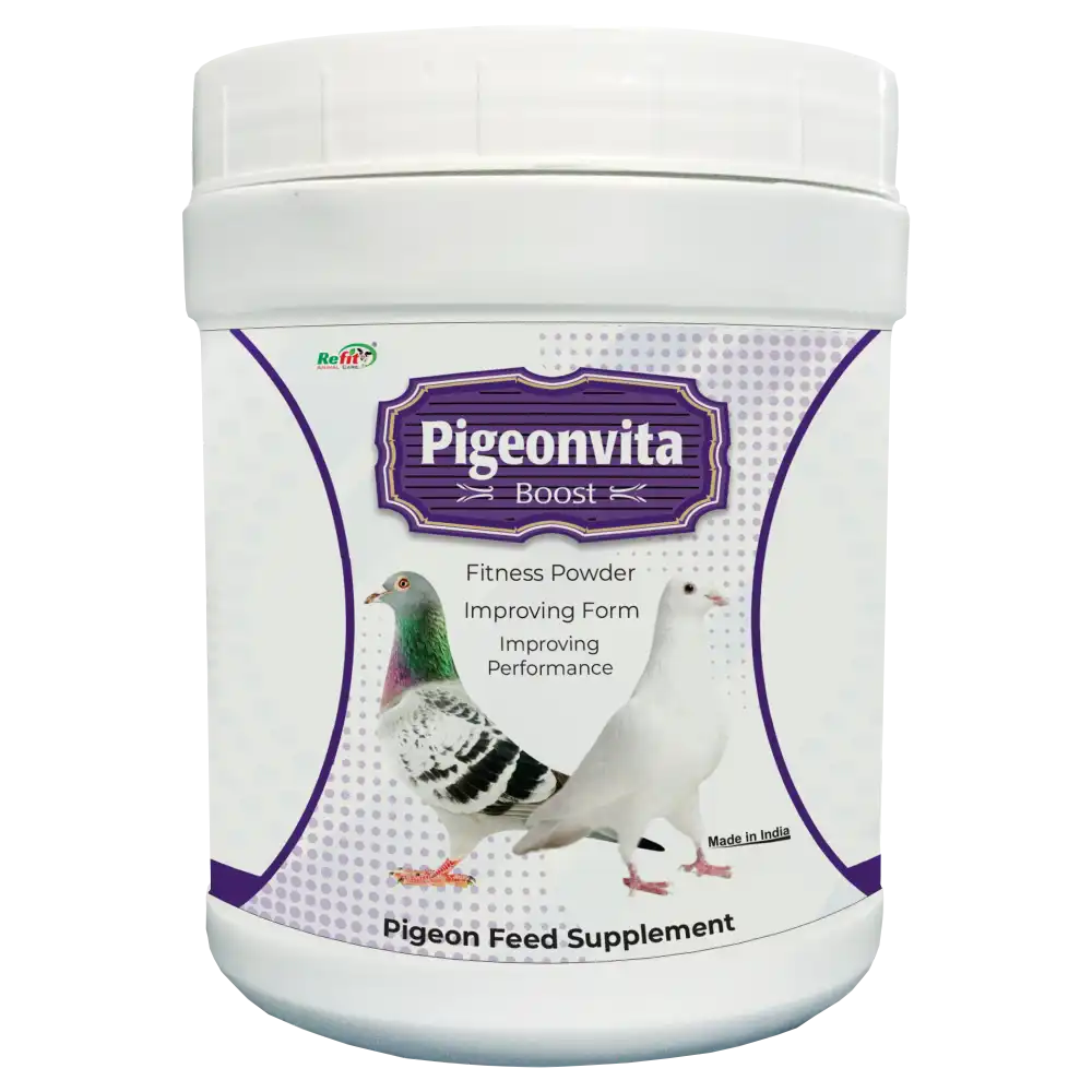 racing pigeon supplements