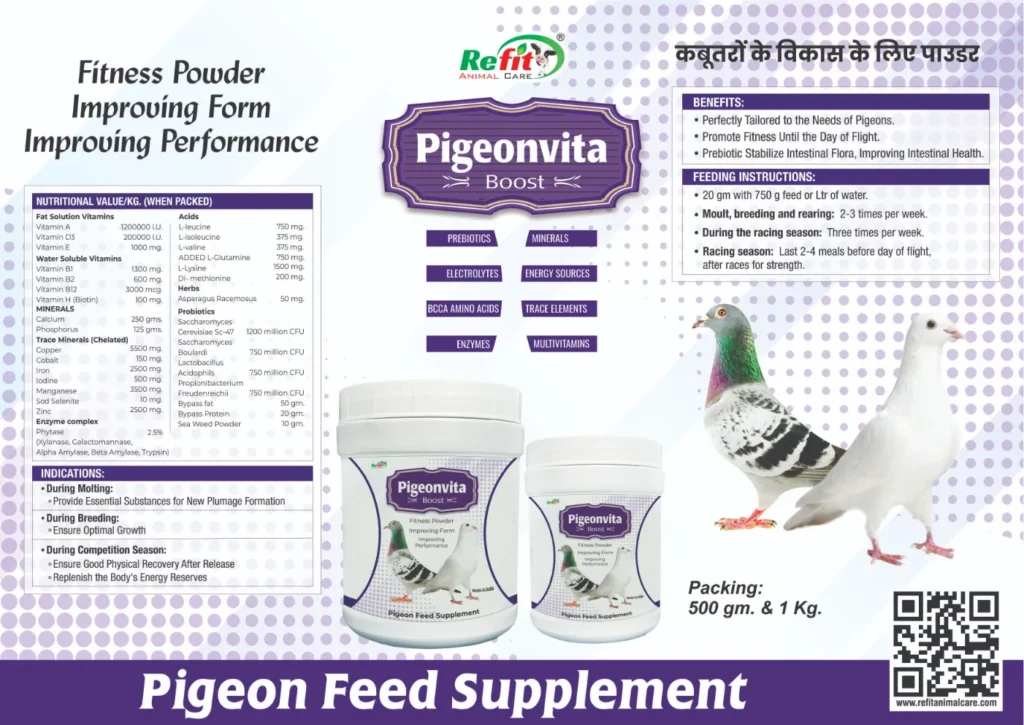 supplements for racing pigeon