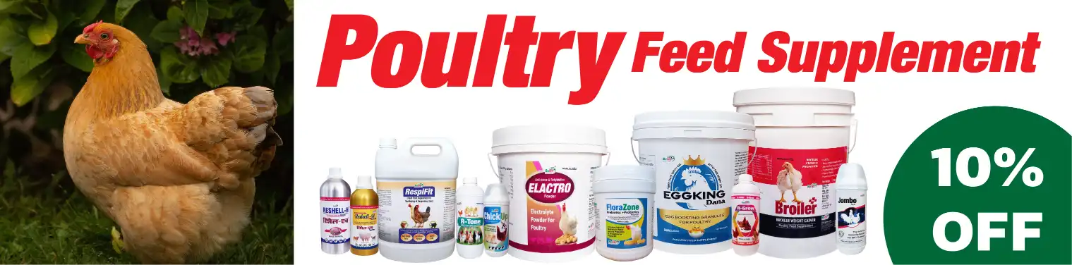 poultry feed supplement banner