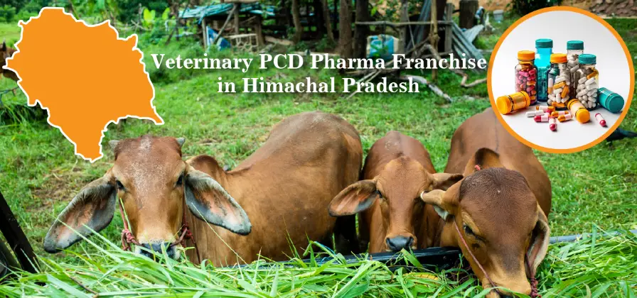 Veterinary PCD Pharma Franchise in Himanchal Pradesh