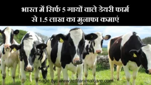 भारत में सिर्फ 5 गायों वाले डेयरी फार्म से 1.5 लाख का मुनाफा कमाएं