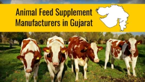 Animal Feed Supplement Manufacturers in Gujarat