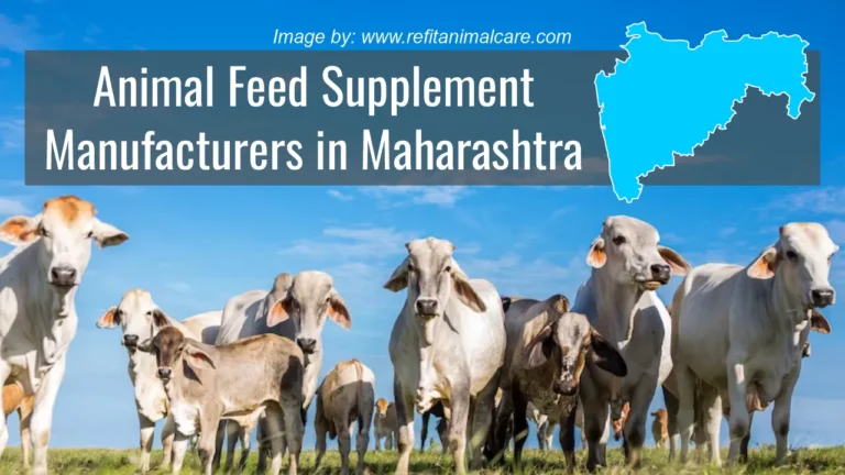 Animal Feed Supplement Manufacturers in Maharashtra