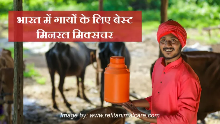 Best mineral mixture for Cow in India