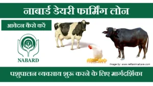 nabard-dairy-farming-loan-ke-liye-aavedan-kaise-karein-aur-pashupalan-vyavasay-shuru-karne-ke-liye-margdarshika