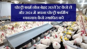 poultry-farm-loan-and-vyavasay-sthapiti-2024