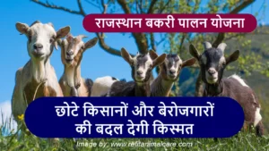 राजस्थान बकरी पालन योजना