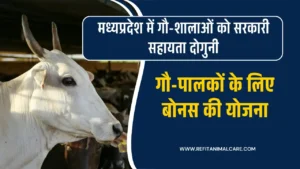 गौ-शाला सरकारी सहायता