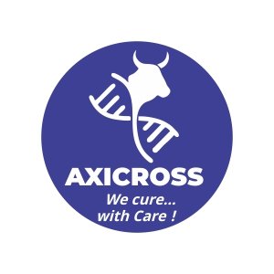 axicross.jpg