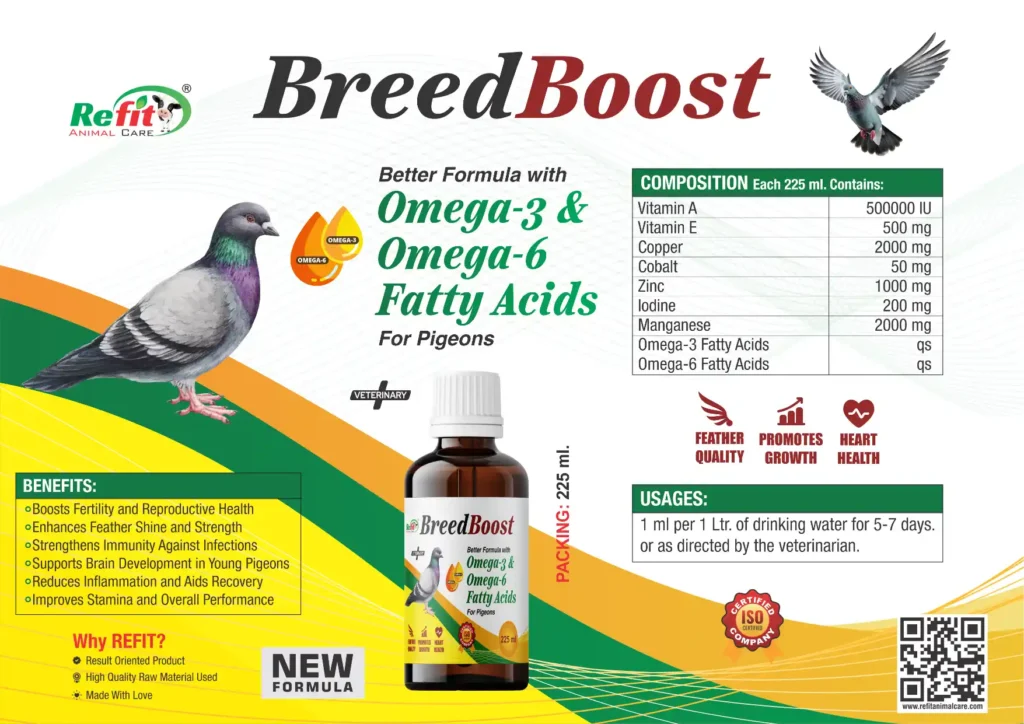omega 3 and omega 3 for pigeons