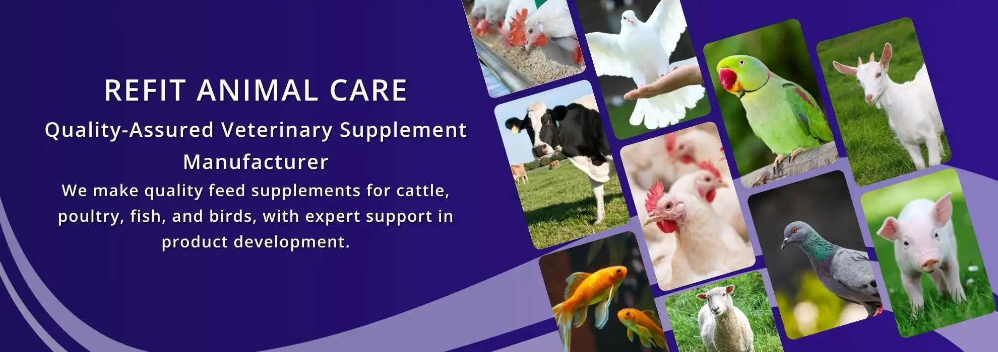 refit animal care cattle poultry aqua and birds feed supplement