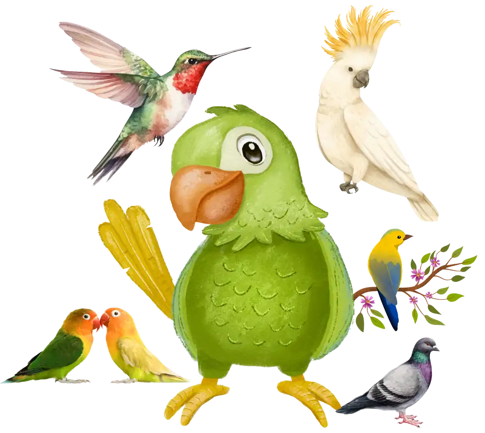 birds refit animal care products
