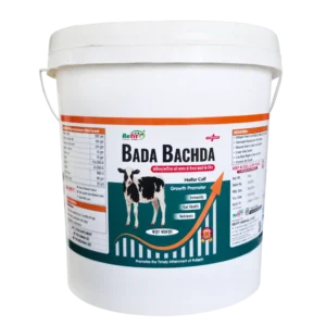 calf growth booster supplier