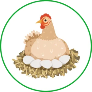 Poultry