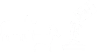 sheep goat feeding schedule