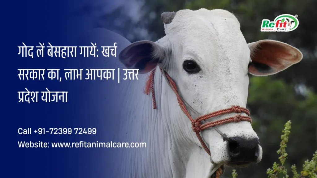 गाय गोद योजना यूपी