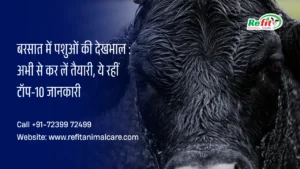 बरसात में पशुओं की देखभाल