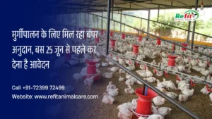 मुर्गीपालन अनुदान