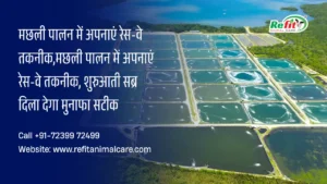 रेस-वे मछली पालन