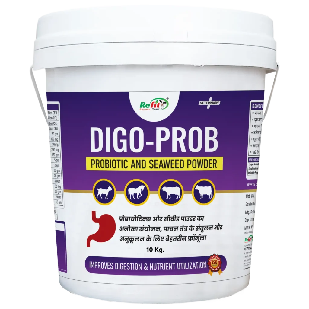 probiotic and seaweed powder for livestock